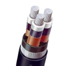 What is HT express Feeder